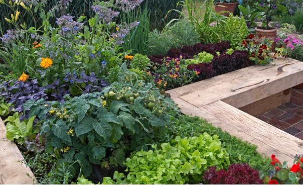 vegetable garden