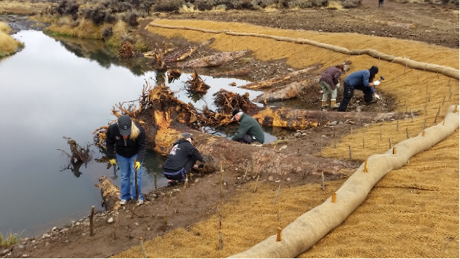 people conducting river restoration