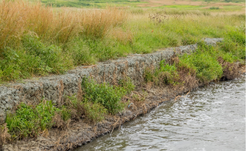 A stabilized streambank using gabions