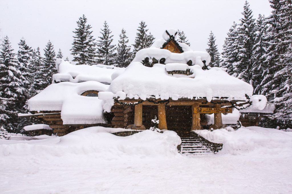 contemporary log home