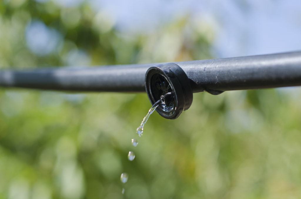 Drip irrigation